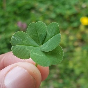 Meet your Posher, Darnell